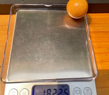 Spectacular 182.14 Carat Round Deep Orange Natural Melo Melo Pearl 6 182 Carat Natural Melo Melo Pearl 2