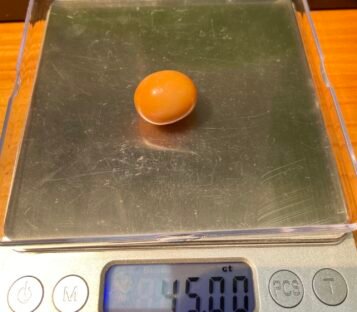 45 Carat Natural Melo Melo Pearl 2