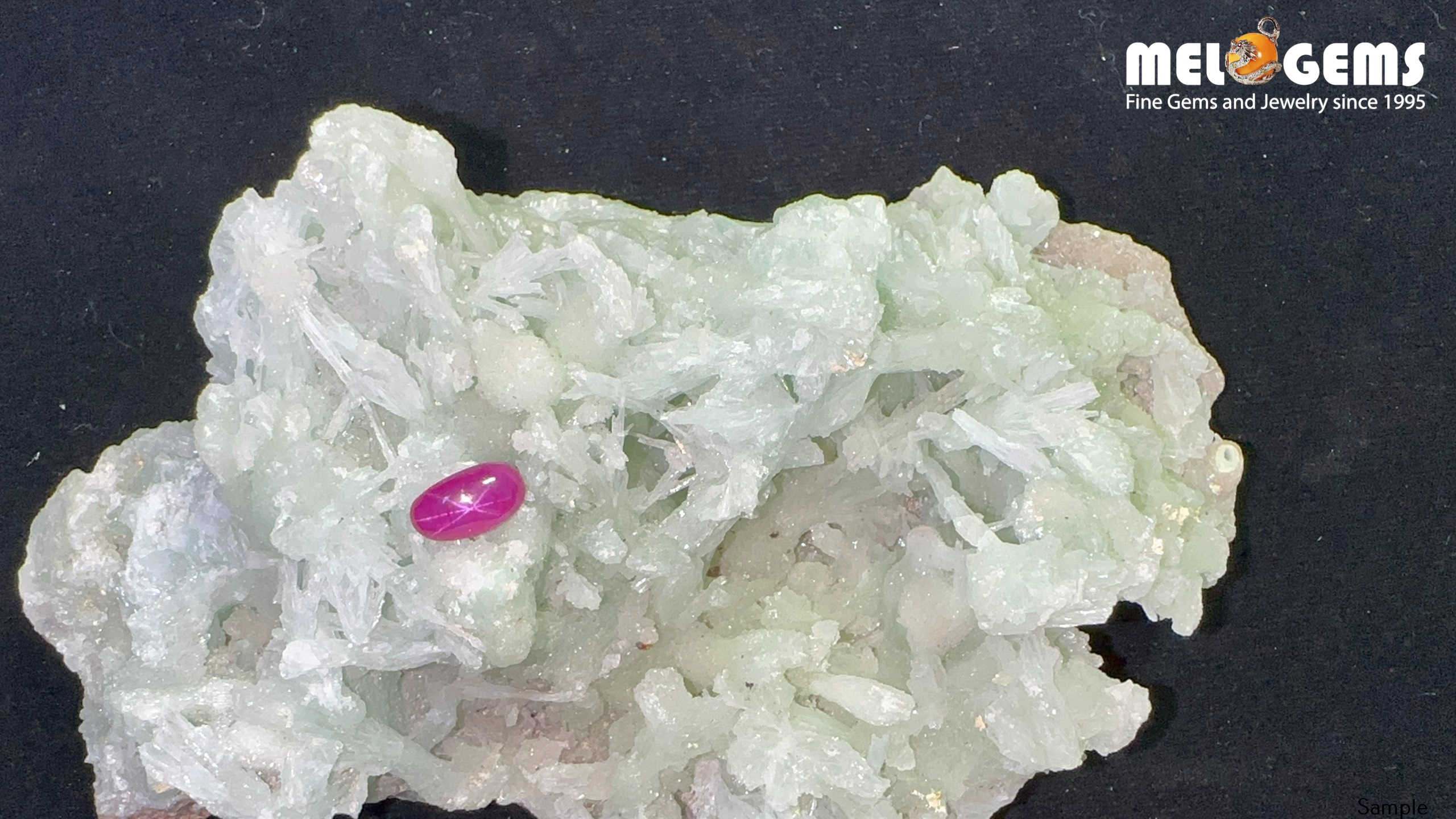 Star Ruby Natural Nghe An Red 1,65 Carat 6 Da Ruby Star tu nhien 1,65ct 1