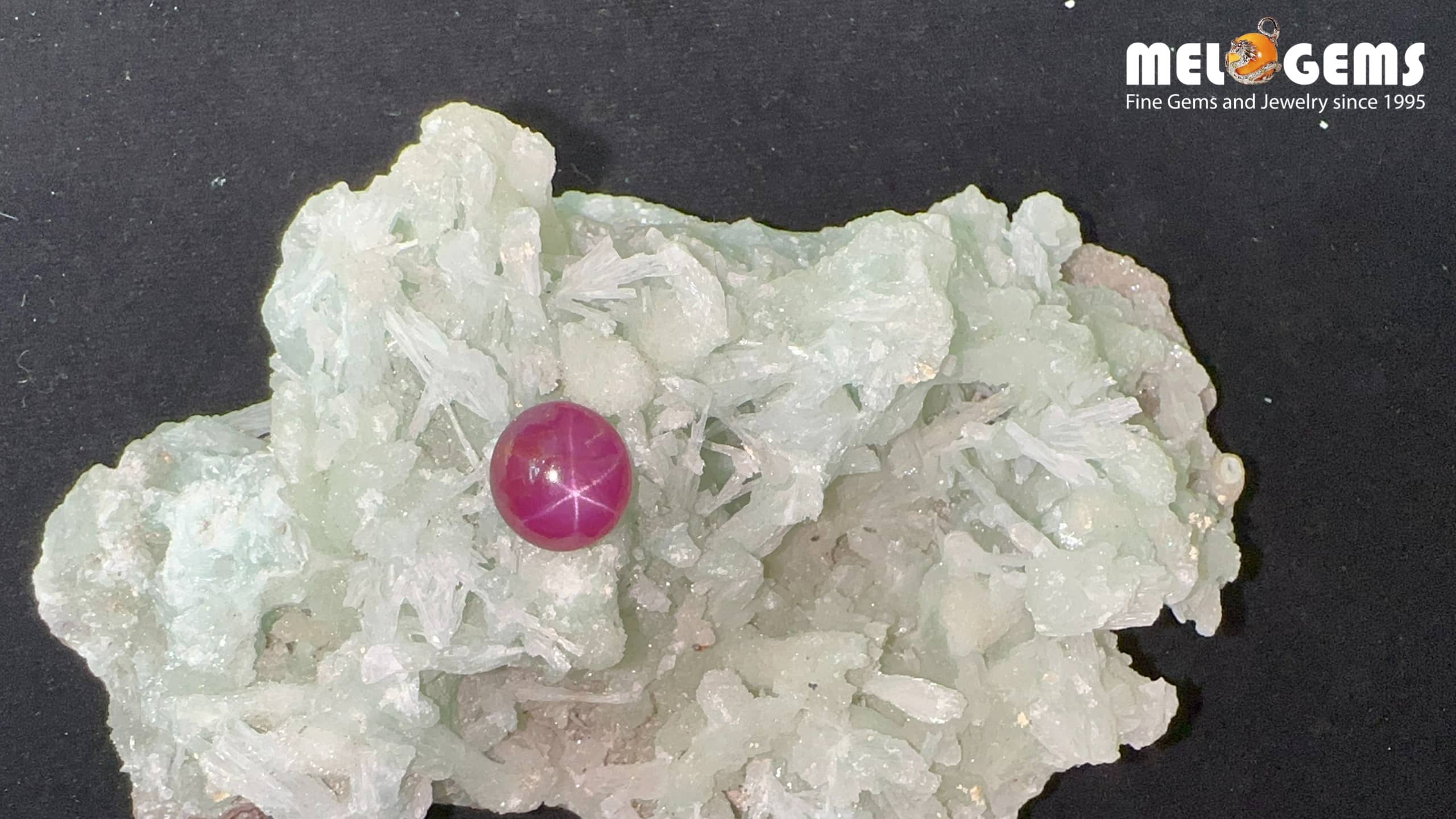 Star Ruby Natural Luc Yen Dark Red 3,65 Carat 6 Da Ruby Star tu nhien 3,65 ct 1