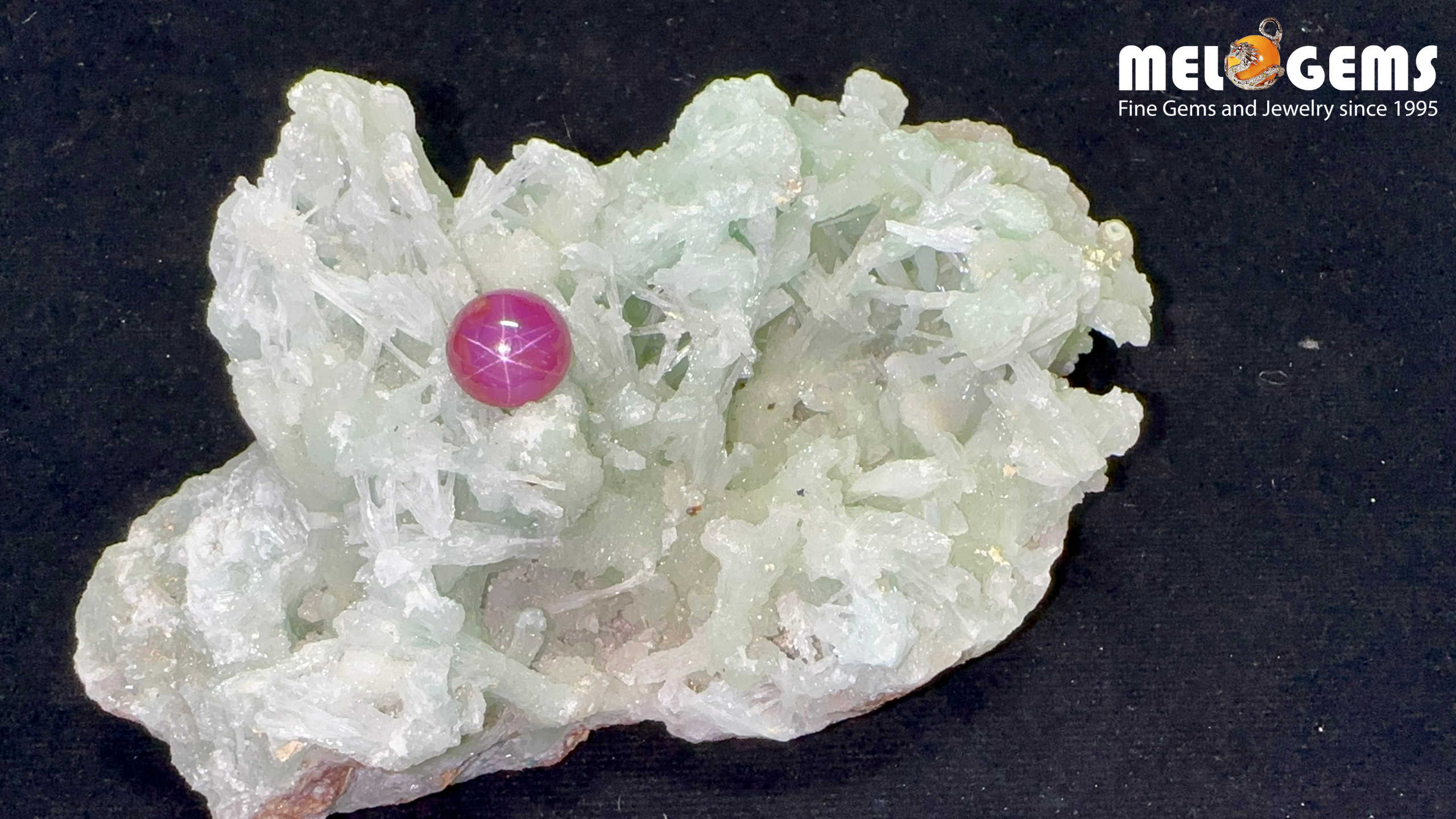 Star Ruby Natural Pink Red Luc Yen 3,95 Carat 6 Da Ruby Star tu nhien 3,95ct 1
