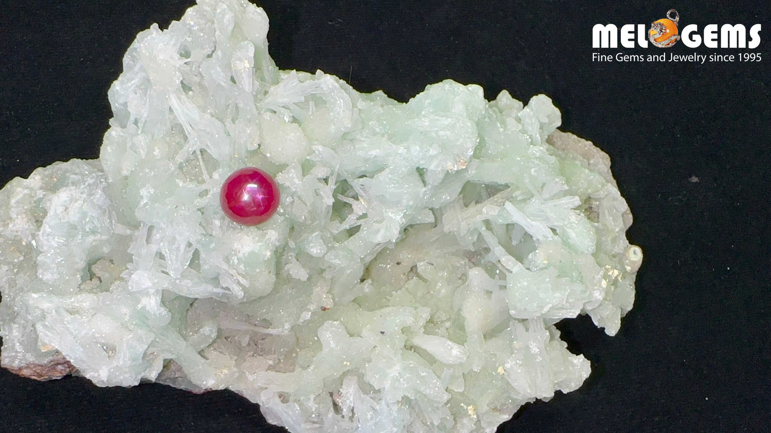 Star Ruby Natural Dark Red Luc Yen 4,45 Carat 6 Da Ruby Star tu nhien 4,45ct 1