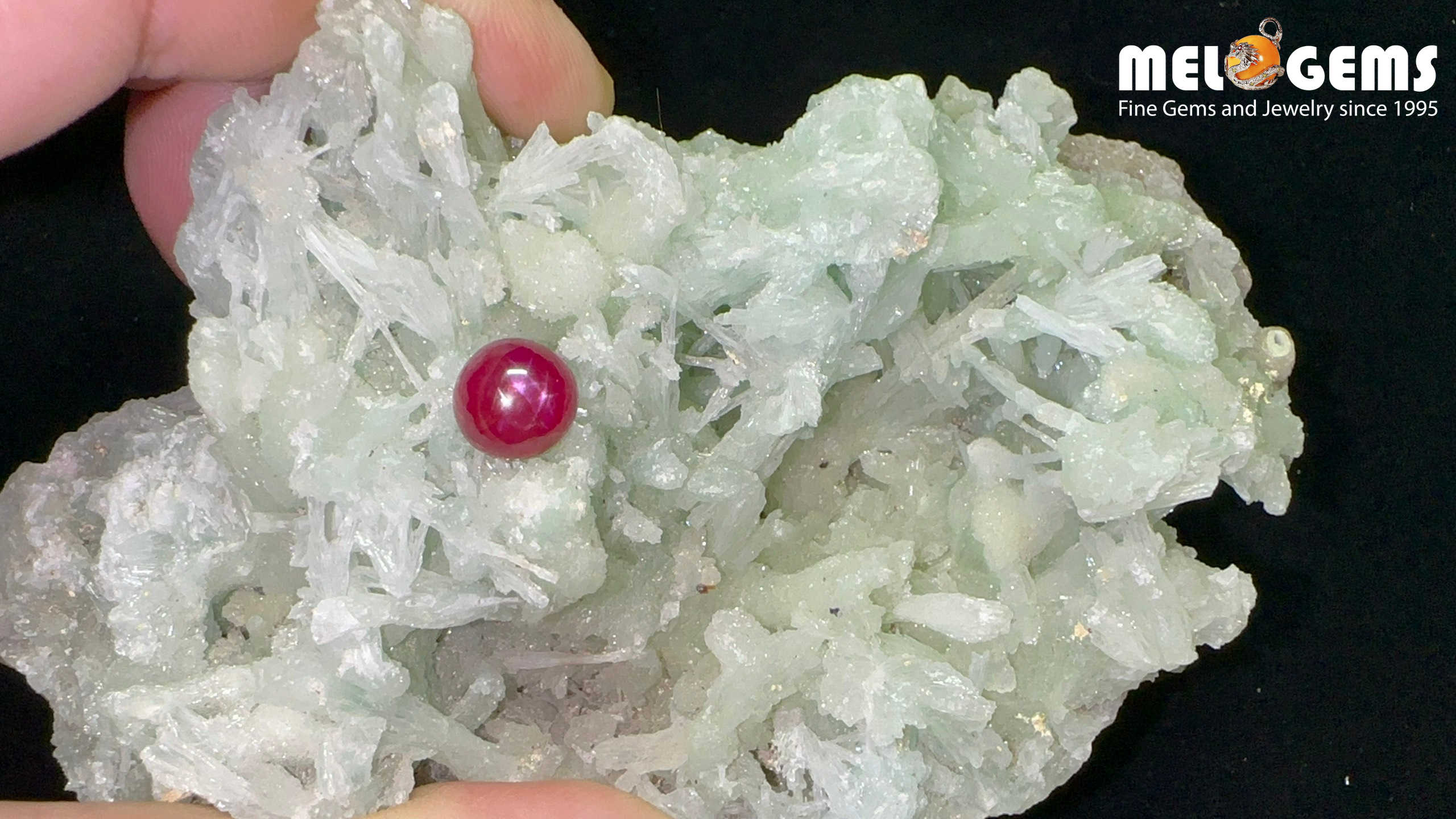 Star Ruby Natural Dark Red Luc Yen 4,45 Carat 7 Da Ruby Star tu nhien 4,45ct 2