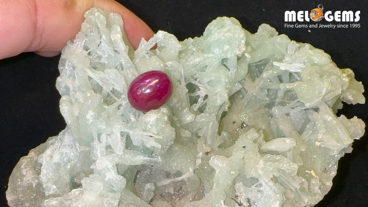 Double Star Ruby Natural Luc Yen Dark Red 6,95 Carat 7 Da Ruby Star tu nhien 6,95 ct 2