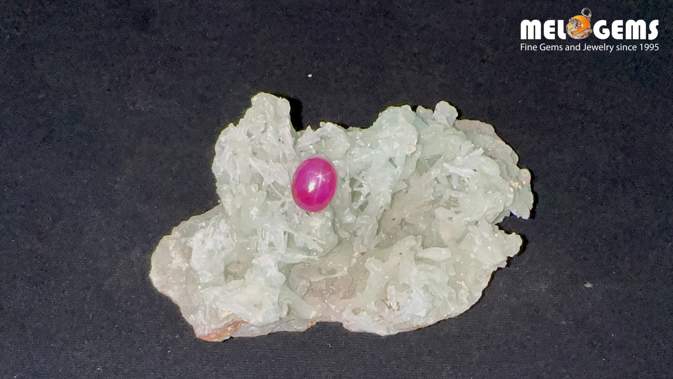 Star Ruby Natural Luc Yen Dark Red 8,50 Carat 6 Da Ruby Star tu nhien 8,50 ct 1