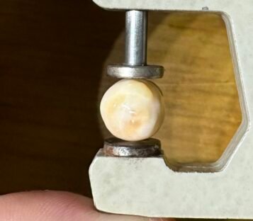 12.05 Carat Natural Lotus Shape Melo Melo Pearl