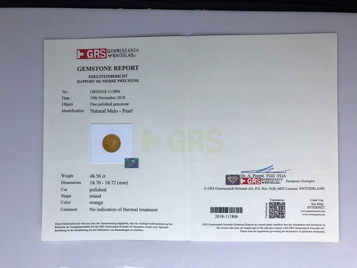 Extremely rare big orange 48,55 carat Melo Melo Pearl 9 ML04 6
