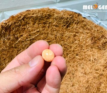 Extremely Rare and Beautiful 12,55 Carat Natural Melo Melo Pearl 3 ML08 6