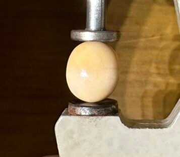 10 Carat Natural Melo Melo Pearl