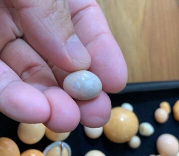 18.5 Carat Natural Light Brown Oval Shape Melo Melo Pearl 3 ML26 4