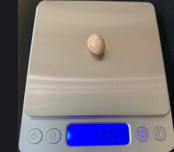 18.5 Carat Natural Light Brown Oval Shape Melo Melo Pearl 6 ML26 5