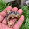 Platinum Dolphine Pin With Sapphires 3