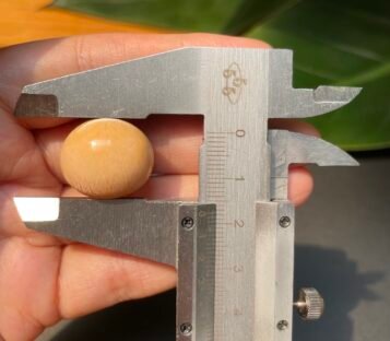 41.00 Carat Light Orange Oval Natural Melo Pearl with Exquisite Structure 4 41 carat melo melo Pearl 3