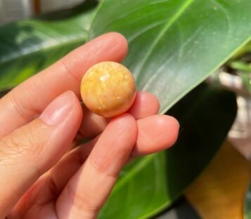 Extremely rare big orange 48,55 carat Melo Melo Pearl 6 48 carat melo melo Pearl 1 1