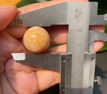 Extremely rare big orange 48,55 carat Melo Melo Pearl 4 48 carat melo melo Pearl 3 1