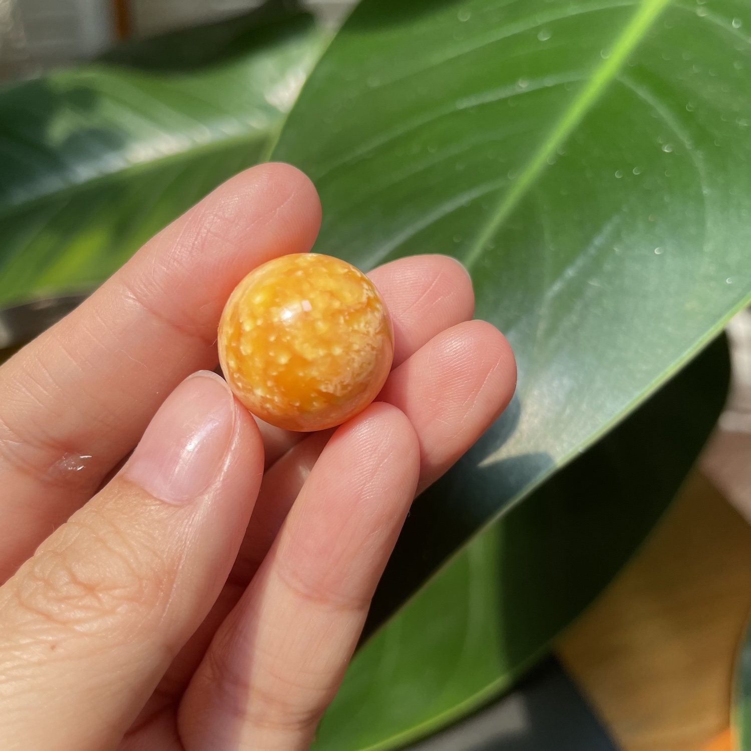 Astonishing 50.8 Carat Deep Orange Melo Melo Pearl of Unrivaled Beauty 9 50 carat melo melo Pearl 1