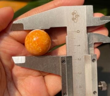 Astonishing 50.8 Carat Deep Orange Melo Melo Pearl of Unrivaled Beauty 4 50 carat melo melo Pearl 3