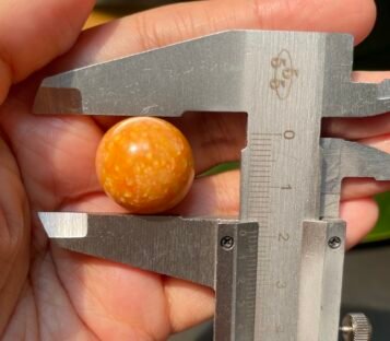 Astonishing 50.8 Carat Deep Orange Melo Melo Pearl of Unrivaled Beauty 5 50 carat melo melo Pearl 4