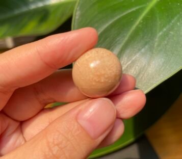 58 carat melo melo Pearl 1