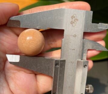 58 carat melo melo Pearl 2