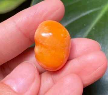 Extraordinary 32.55 Carat Deep Orange Melo Melo Pearl
