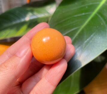 191,78 Carat Natural Melo Melo Pearl