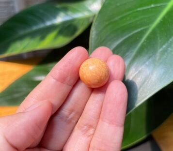 Extremely Rare 30.1 Carat Deep Orange Round Melo Pearl 3 IMG 1935 scaled