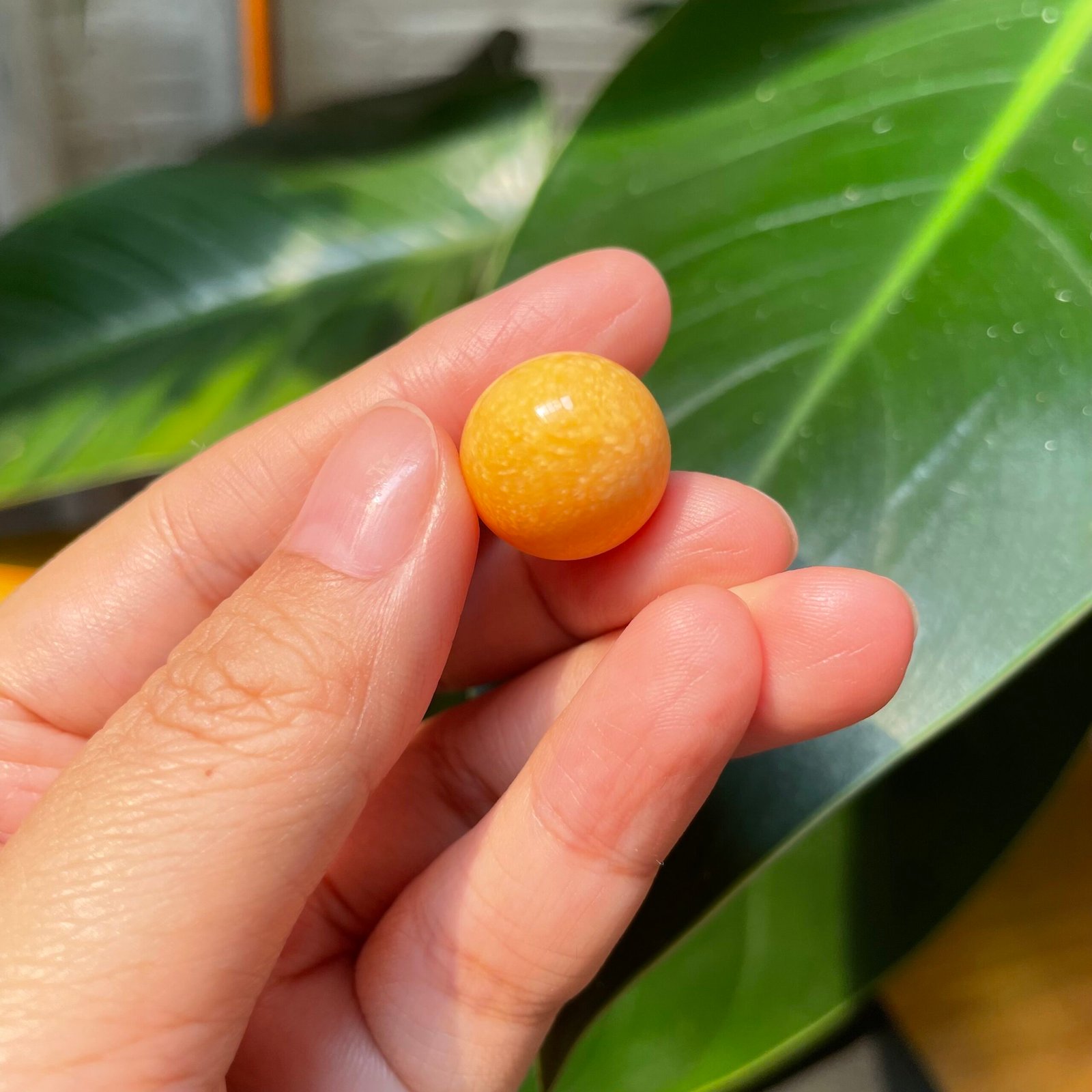 Extraordinary 30.00 Carat Deep Orange Round Melo Pearl 8 IMG 1942 scaled