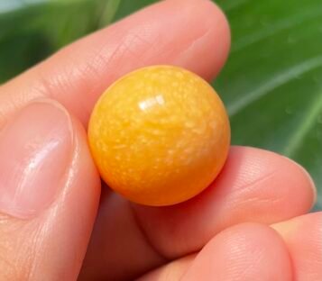 Extraordinary 30.00 Carat Deep Orange Round Melo Pearl