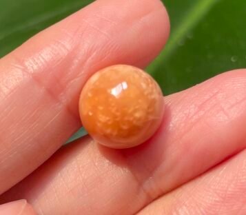 10.65 Carat Deep Orange Round Melo Pearl