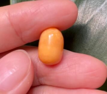 7,25 Carat Natural Melo Melo Pearl