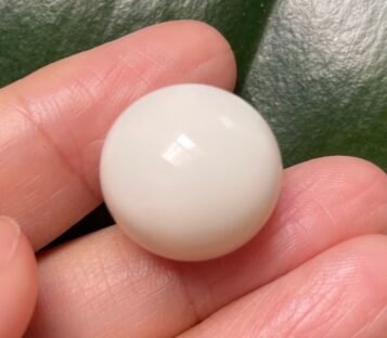 31.50 carat Natural White Conch Pearl