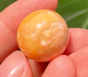 Exquisite 51 Carat Big Round Shape Orange Melo Melo Pearl