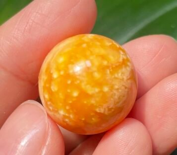 Astonishing 50.8 Carat Deep Orange Melo Melo Pearl of Unrivaled Beauty