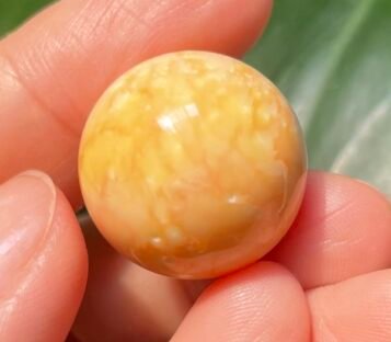 Extremely rare big orange 48,55 carat Melo Melo Pearl