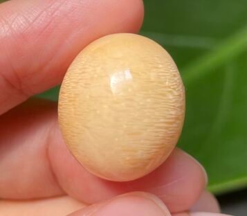 41.00 Carat Light Orange Oval Natural Melo Pearl with Exquisite Structure