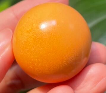 Exceptional 191.45 Carat Deep Orange Round Melo Melo Pearl