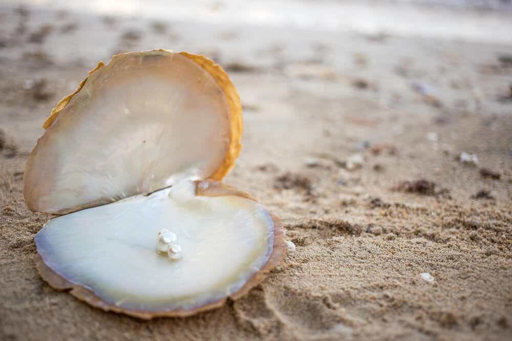What Does It Mean When Someone Gives You Pearls? 3 Historical Significance of Pearls