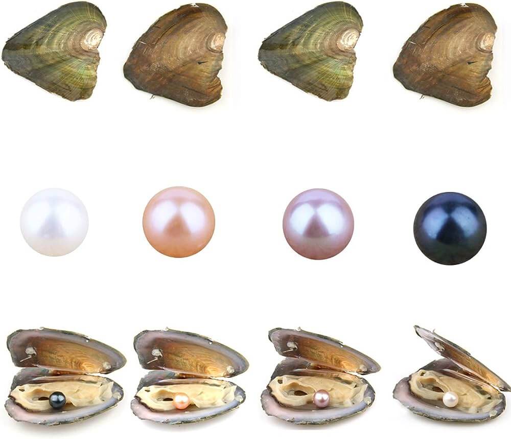 How pearls are cultivated in pearl factories