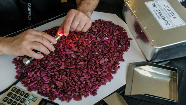 Where to Buy Ruby in Singapore 27 Research and Education