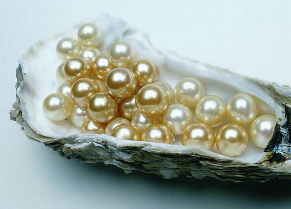 Why Are Pearls So Valuable? Here's What You Need to Know 9 The Future of Pearl Industry