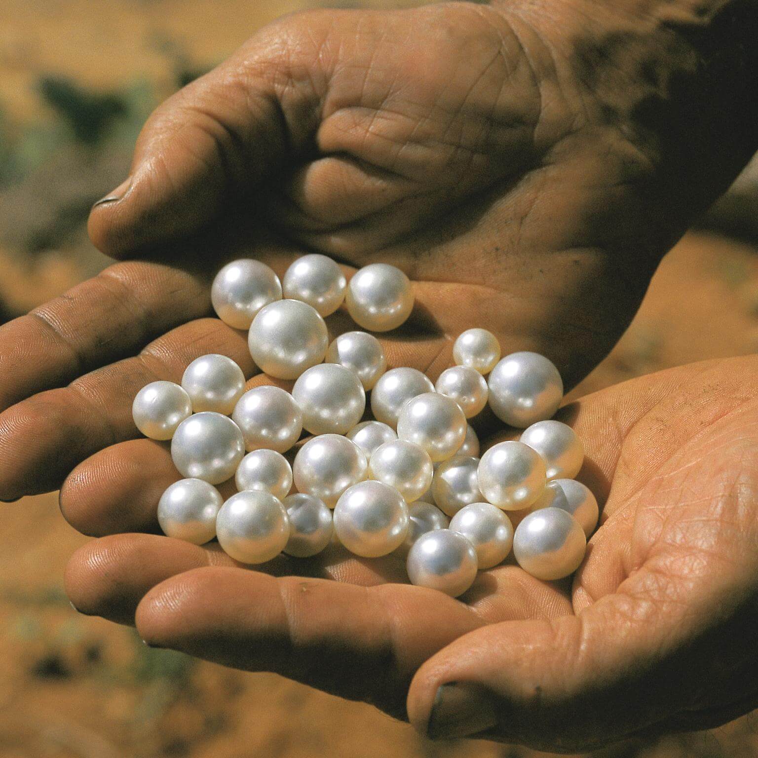 Why Are Pearls So Valuable? Here's What You Need to Know 2 The History of Pearls