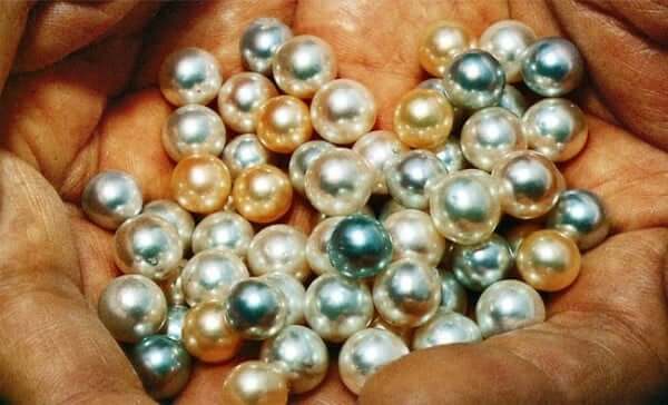 Why Are Pearls So Valuable? Here's What You Need to Know 14 The Rarity of Pearls