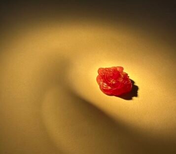 Feng Shui Ruby Good Luck Wealthy Frog With Coin RCOC01