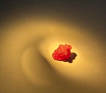 Feng Shui Ruby Good Luck Wealthy Frog With Coin RCOC03