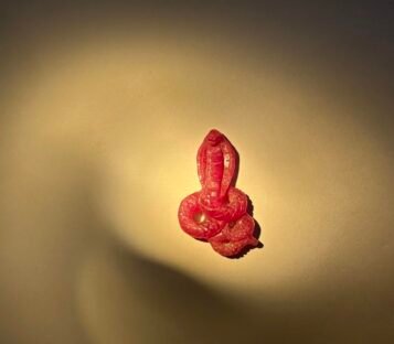 Feng Shui Ruby Snake Statue RRAN01