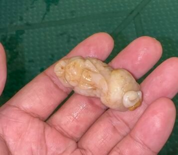 Feng Shui Wealthy Good Luck Attract Pixiu Jade TCT49