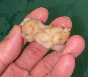 Feng Shui Wealthy Good Luck Attract Pixiu Jade TCT49 2