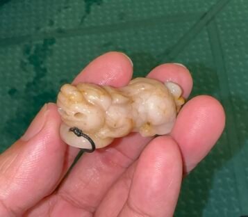 Feng Shui Wealthy Good Luck Attract Pixiu Jade TCT49 3