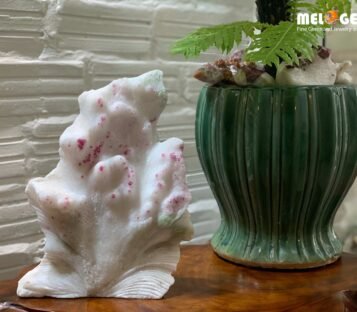 Gemstone Crystal Luc Yen CDQ22 5 Gemstone Crystal Luc Yen CDQ22 2